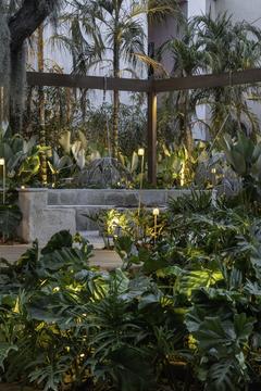 Gallery of Elementary Garden / Kalil Ferre Pasagismo  - 11