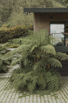 Gallery of C79 House / Base taller  - 16
