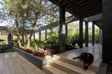 Galería de Casa Tres Jardines / Taller de Diseño Exterior y Arquitectura  - 4