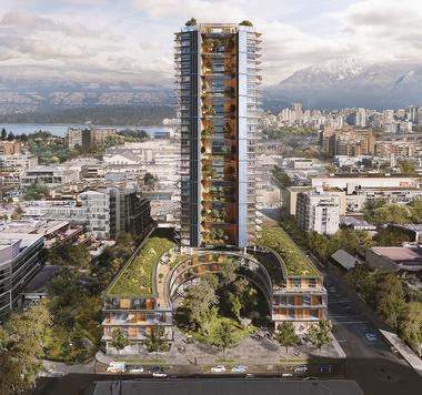 画廊 木材指南：如何用木材建造高层建筑  - 1
