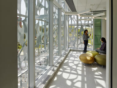 Gallery of Stephen A. Levin Building for Neural and Behavioral Sciences / SmithGroup  - 14