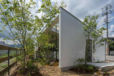 Casa en Kawachinagano / arbol