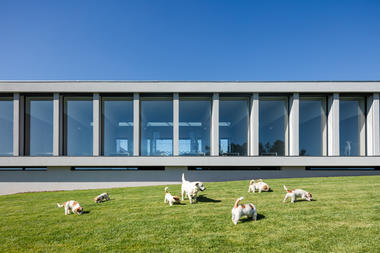 Hotel canino y felino / Raulino Silva