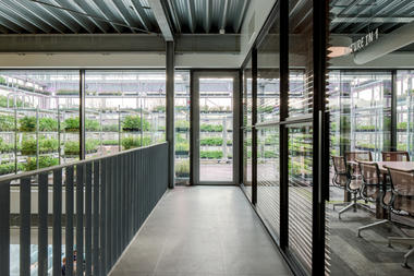 Gallery of The Green House / architectenbureau cepezed  - 3