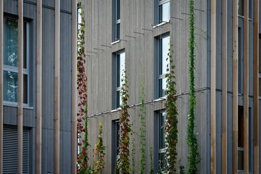 Criando jardins verticais e fachadas verdes com cabos de aço
