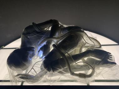 The Convergence of People, Cities, Nature, and Technology: A Review of the Shenzhen Biennale