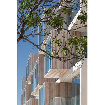 Gallery of Thermowood Facades - 7