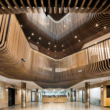 Gallery of Timber Battens in Scotch College - 6