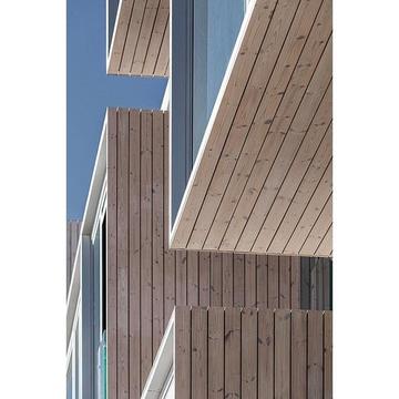 Gallery of Thermowood Facades - 6