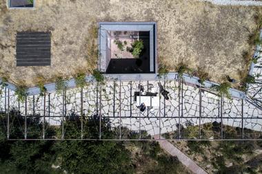 Gallery of Creating Vertical Gardens and Green Facades with Steel Cables  - 13
