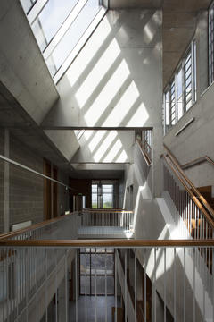 画廊 利默里克大学医学院 / Grafton Architects  - 3