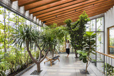 Biofília: trazendo a natureza para dentro de casa