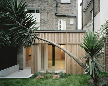 Leaning Yucca House / DF_DC