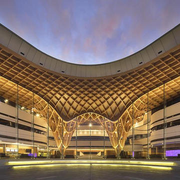 Gallery of Timber - HESS FREE FORM - 1