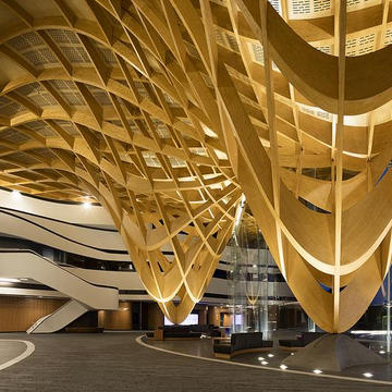 Gallery of Timber - HESS FREE FORM - 9
