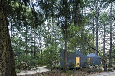 Eco Houses / Tiago Rebelo de Andrade