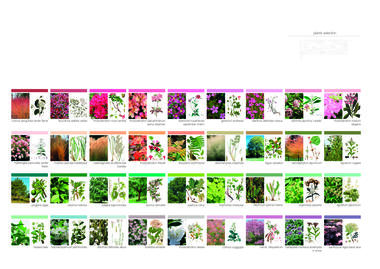 Gallery of Mr. Barrett's Garden / Daniel Zamarbide  - 45
