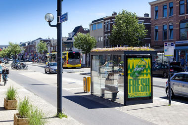 Utrecht Creates 300 Bee-Friendly Bus Stops