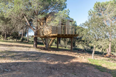Gallery of Tree House / Madeiguincho  - 16