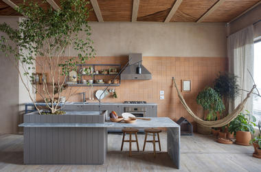 Gallery of Nature Within: 17 Projects With Indoor Trees  - 11