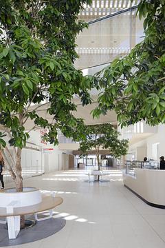 Gallery of Bendigo Hospital / Silver Thomas Hanley + Bates Smart  - 5