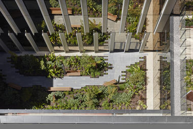 Gallery of Bendigo Hospital / Silver Thomas Hanley + Bates Smart  - 8