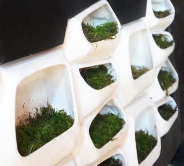 利用苔藓发电的模块化绿植墙壁系统