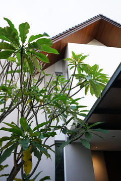 Gallery of AL - HOUSE / Kamitata  - 11