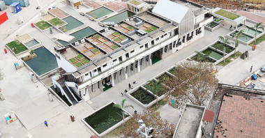“漂浮农场”赢得深圳城市建筑双年展奖项并将在2016年继续实施