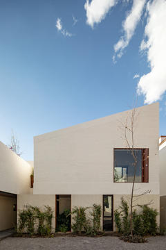 Gallery of Rivera House / Taller de Arquitectura Miguel Montor  - 5