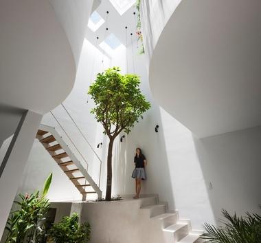 Como transformar um ambiente interno poluído em um lar saudável