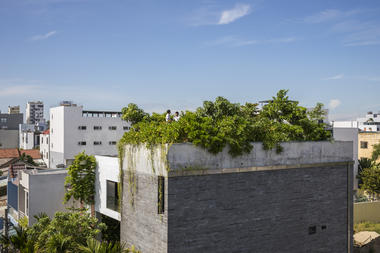 Gallery of Thang House / VTN Architects  - 1