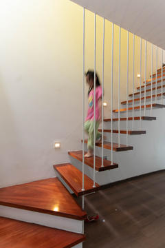 Galería de Casa de la jungla / T -architects  - 3