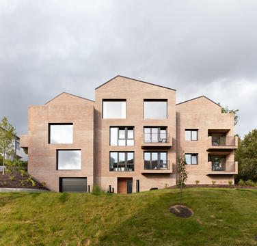 Villa Ask Housing / Reiulf Ramstad Arkitekter
