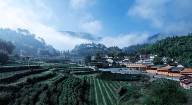 Gallery of Tofu Factory / DnA  - 6