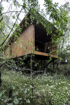 Gallery of House in Delta Buenos Aires / Matías Cosenza Arquitecto  - 2