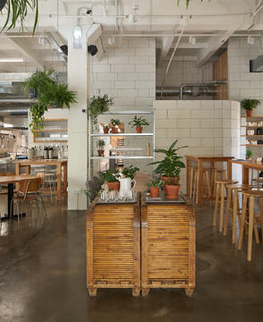 Gallery of Futura Bistro / Rhizome  - 15