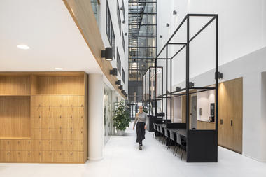 Naturalis Biodiversity Center / Hollandse Nieuwe