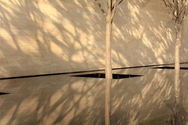 Gallery of Yifang Art Center / YIHE Landscape Architecture  - 23