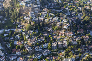 Laurel Canyon: The Classic California Urban Ecosystem