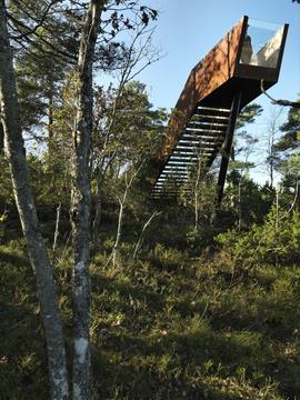 Escada da Floresta em Stokke / Saunders Architecture