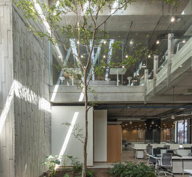 墨西哥建筑公司总部办公 / Ricardo Yslas Gámez Arquitectos