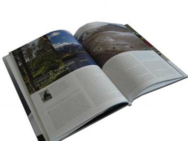 Revista CA 131: Planificación Territorial