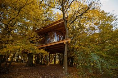 Gallery of Tree House / JAN TYRPEKL  - 6