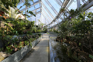 维斯理学院植物园 / Kennedy & Violich Architecture