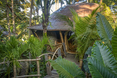 Galería de Tree House / Pablo Luna Studio  - 2
