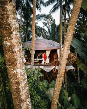 Galería de Tree House / Pablo Luna Studio  - 6