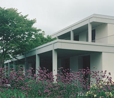 苏黎世葡萄园住宅 / Think Architecture