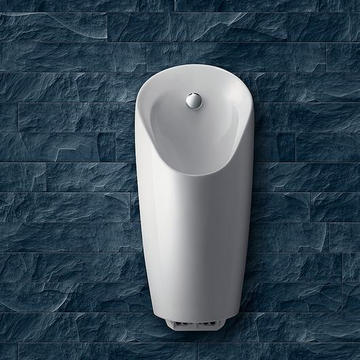Urinal Systems from Geberit