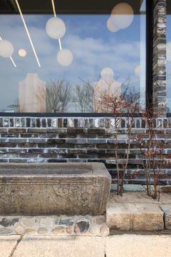 Gallery of Botanic Museum Cafeteria / arche708  - 12